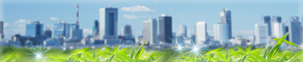 加藤商店 kato-shoten